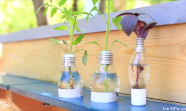 DIY Light Bulb Planter