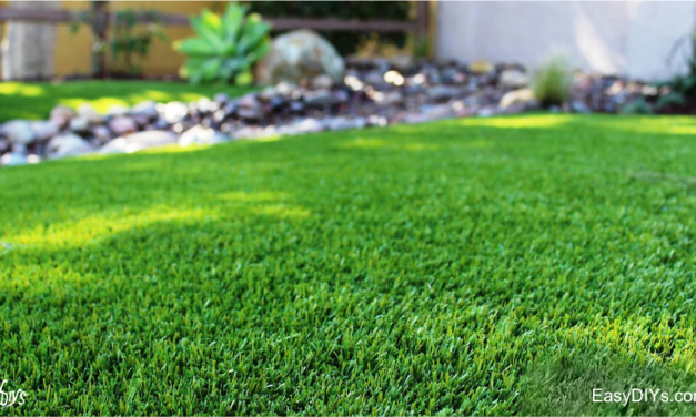 HOW TO START A NEW LAWN FROM SEED