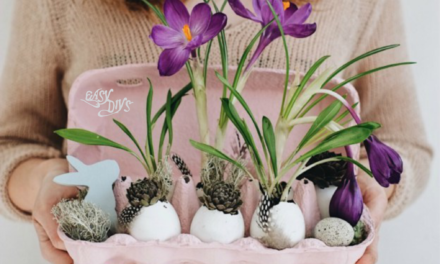 DIY Eggshell Planters Craft