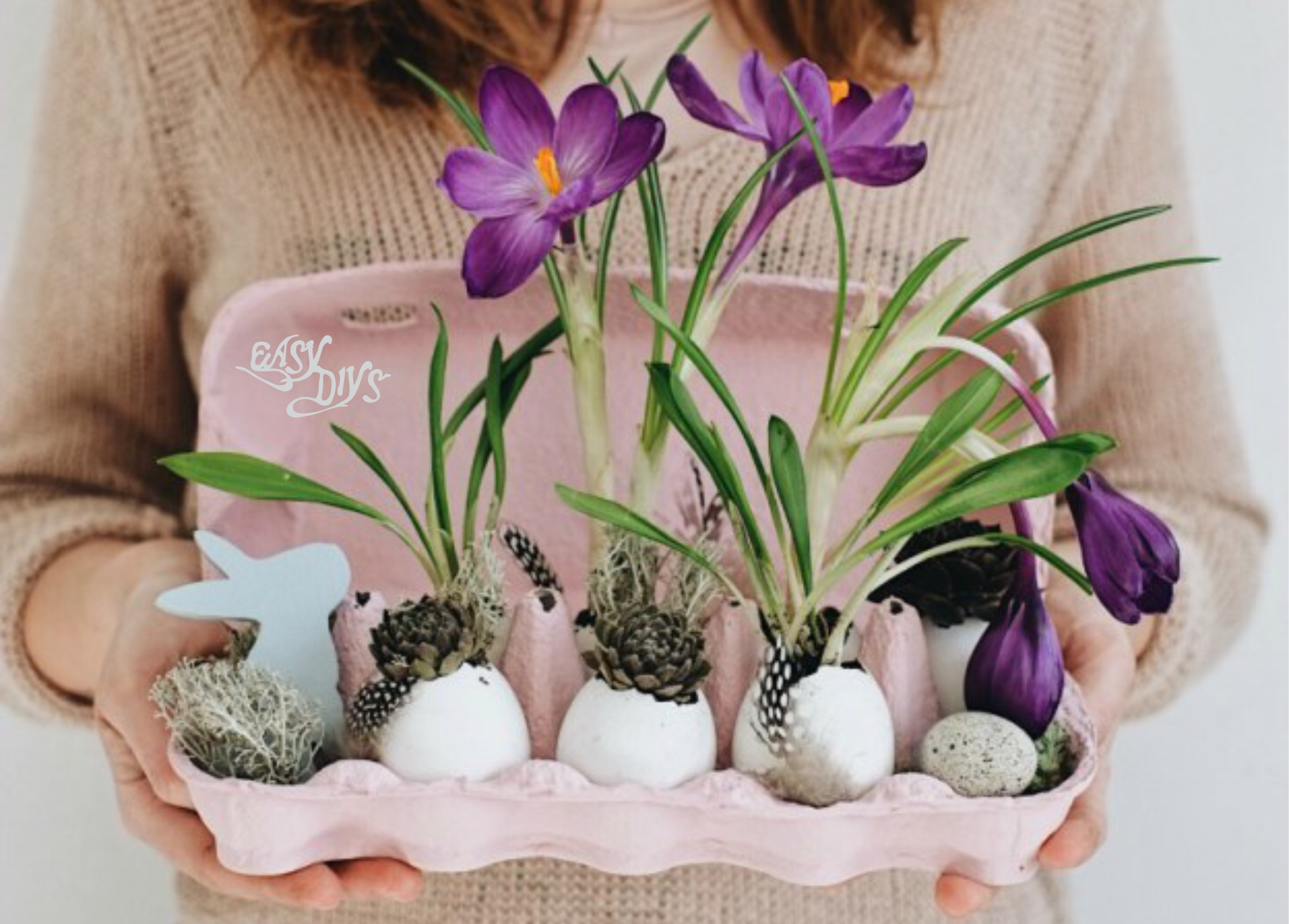 DIY Eggshell Planters Craft
